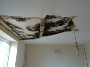 Housing Disrepair