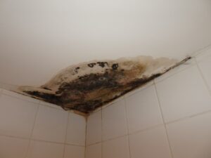 Mould ceiling