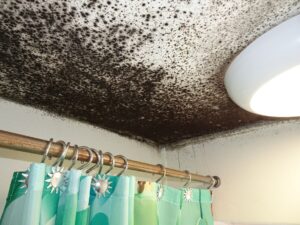 Mould ceiling